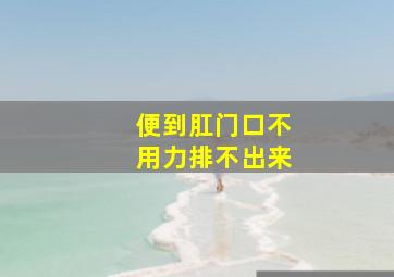 便到肛门口不用力排不出来