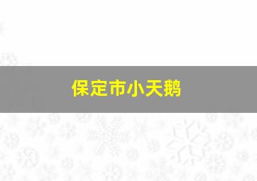 保定市小天鹅