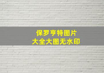 保罗亨特图片大全大图无水印