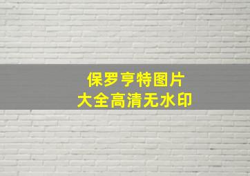 保罗亨特图片大全高清无水印