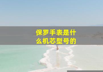 保罗手表是什么机芯型号的