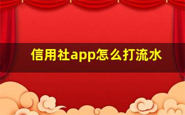 信用社app怎么打流水