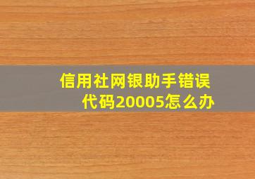 信用社网银助手错误代码20005怎么办