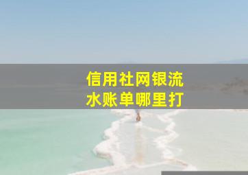 信用社网银流水账单哪里打