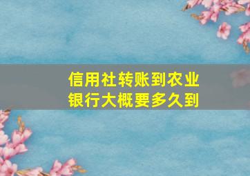 信用社转账到农业银行大概要多久到