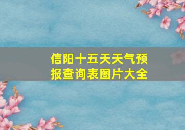 信阳十五天天气预报查询表图片大全