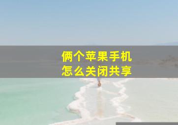 俩个苹果手机怎么关闭共享