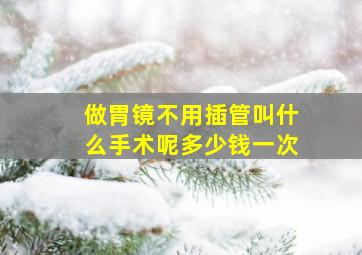 做胃镜不用插管叫什么手术呢多少钱一次