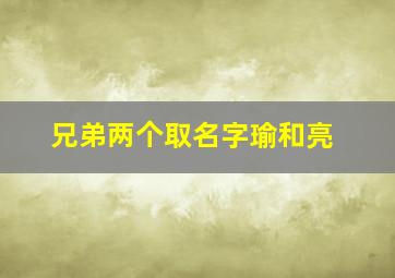 兄弟两个取名字瑜和亮