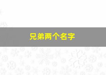 兄弟两个名字