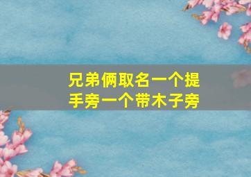 兄弟俩取名一个提手旁一个带木子旁