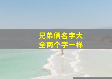 兄弟俩名字大全两个字一样