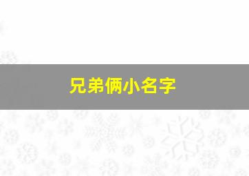 兄弟俩小名字