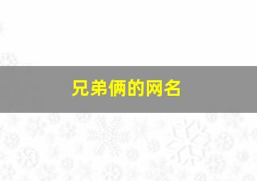 兄弟俩的网名