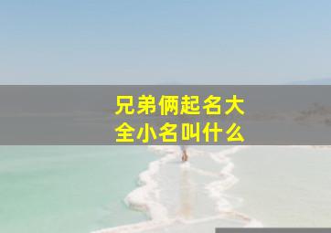 兄弟俩起名大全小名叫什么