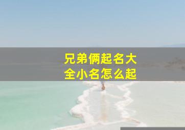 兄弟俩起名大全小名怎么起