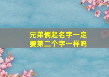 兄弟俩起名字一定要第二个字一样吗