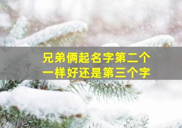 兄弟俩起名字第二个一样好还是第三个字