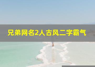 兄弟网名2人古风二字霸气