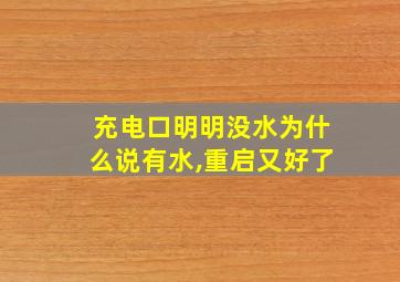 充电口明明没水为什么说有水,重启又好了