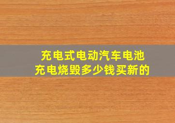 充电式电动汽车电池充电烧毁多少钱买新的