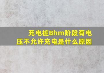 充电桩Bhm阶段有电压不允许充电是什么原因