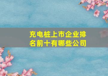 充电桩上市企业排名前十有哪些公司