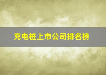 充电桩上市公司排名榜