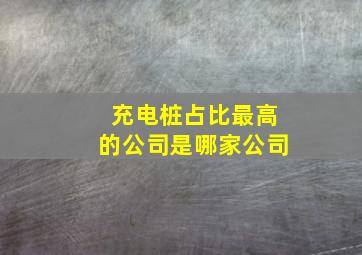 充电桩占比最高的公司是哪家公司