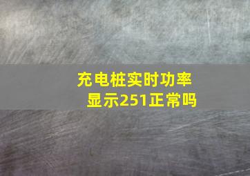 充电桩实时功率显示251正常吗