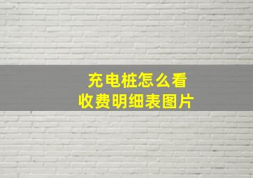 充电桩怎么看收费明细表图片