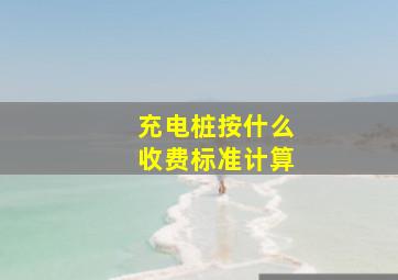 充电桩按什么收费标准计算