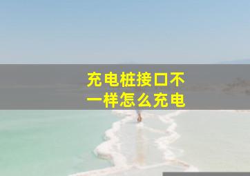 充电桩接口不一样怎么充电