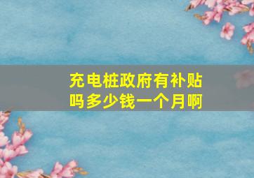 充电桩政府有补贴吗多少钱一个月啊