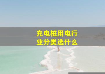 充电桩用电行业分类选什么