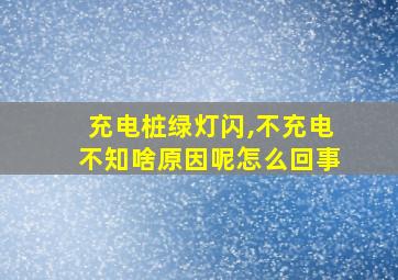 充电桩绿灯闪,不充电不知啥原因呢怎么回事