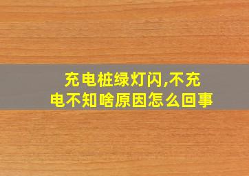 充电桩绿灯闪,不充电不知啥原因怎么回事