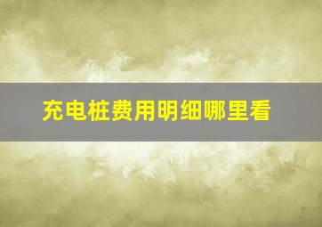 充电桩费用明细哪里看