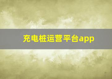 充电桩运营平台app