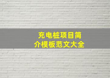 充电桩项目简介模板范文大全