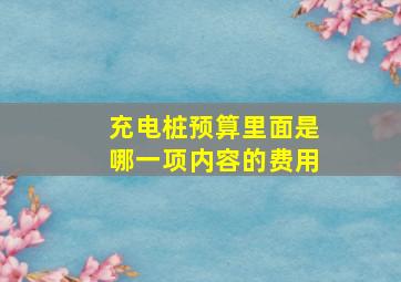 充电桩预算里面是哪一项内容的费用