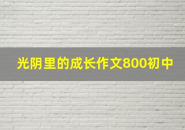 光阴里的成长作文800初中