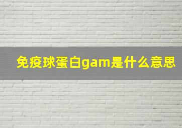 免疫球蛋白gam是什么意思