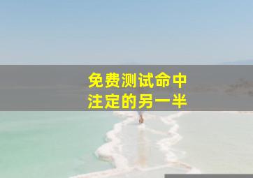 免费测试命中注定的另一半