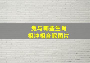 兔与哪些生肖相冲相合呢图片