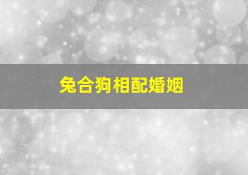 兔合狗相配婚姻