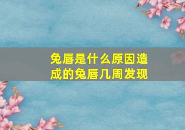 兔唇是什么原因造成的兔唇几周发现