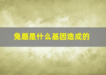 兔唇是什么基因造成的