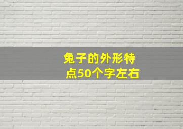 兔子的外形特点50个字左右