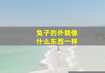 兔子的外貌像什么东西一样